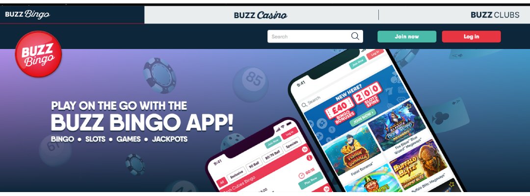 Buzz Bingo App
